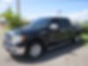 1FTFW1CT0BFB75529-2011-ford-f-150-2