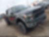 1FTFW1ET3EFD06180-2014-ford-f-150-0