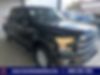1FTEW1EP1GFA64376-2016-ford-f-150-0