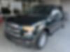 1FTEW1EP1GFA64376-2016-ford-f-150-2