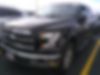 1FTEW1EF5GFC00631-2016-ford-f-150-0