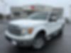 1FTFW1ET2DKF59898-2013-ford-f-150