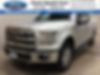 1FTEW1EP1GKE83660-2016-ford-f-150-0