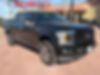 1FTEW1EP8KKD48264-2019-ford-f-150-2
