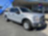 1FTEW1E84HFC60290-2017-ford-f-150