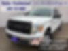 1FTEW1CMXDKF73393-2013-ford-f-150-0