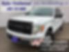 1FTEW1CMXDKF73393-2013-ford-f-150-1