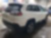 1C4PJMDX9KD394250-2019-jeep-cherokee-2