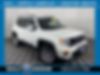 ZACNJDBB7MPM54011-2021-jeep-renegade