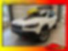 1C4PJMBX1KD298566-2019-jeep-cherokee