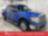 1FTFW1EF5BFD13153-2011-ford-f-150-0