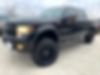 1FTFW1ET1CFC55775-2012-ford-f-150-2