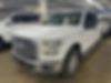 1FTEW1EP1HFA06253-2017-ford-f-150-1