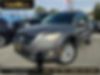 WVGAV7AX5BW520247-2011-volkswagen-tiguan