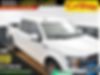 1FTEW1EP6KFA91193-2019-ford-f-150-0