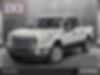 1FTEW1CG1FKD07967-2015-ford-f-150-2