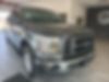 1FTEX1EP4HFA22542-2017-ford-f-150-0
