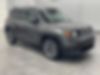 ZACCJABB9HPG01900-2017-jeep-renegade
