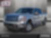 1FTFW1ET1BFB43279-2011-ford-f-150-0