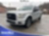 1FTEW1EP7GFB00099-2016-ford-f-150-0