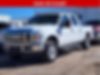 1FTSW2BR6AEA09871-2010-ford-f-250-0