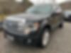 1FTFW1ET4DFC92174-2013-ford-f-150-0