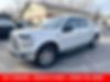 1FTEW1EP3GKE13660-2016-ford-f-150-1