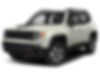 ZACNJBC15KPK12535-2019-jeep-renegade-0