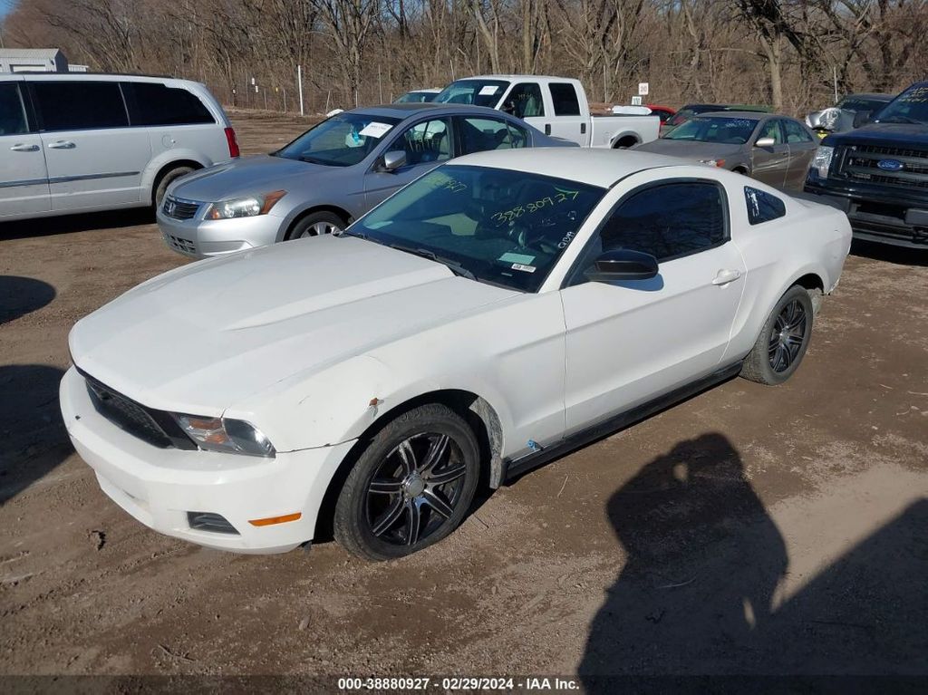 1ZVBP8AN6A5156218-2010-ford-mustang-1