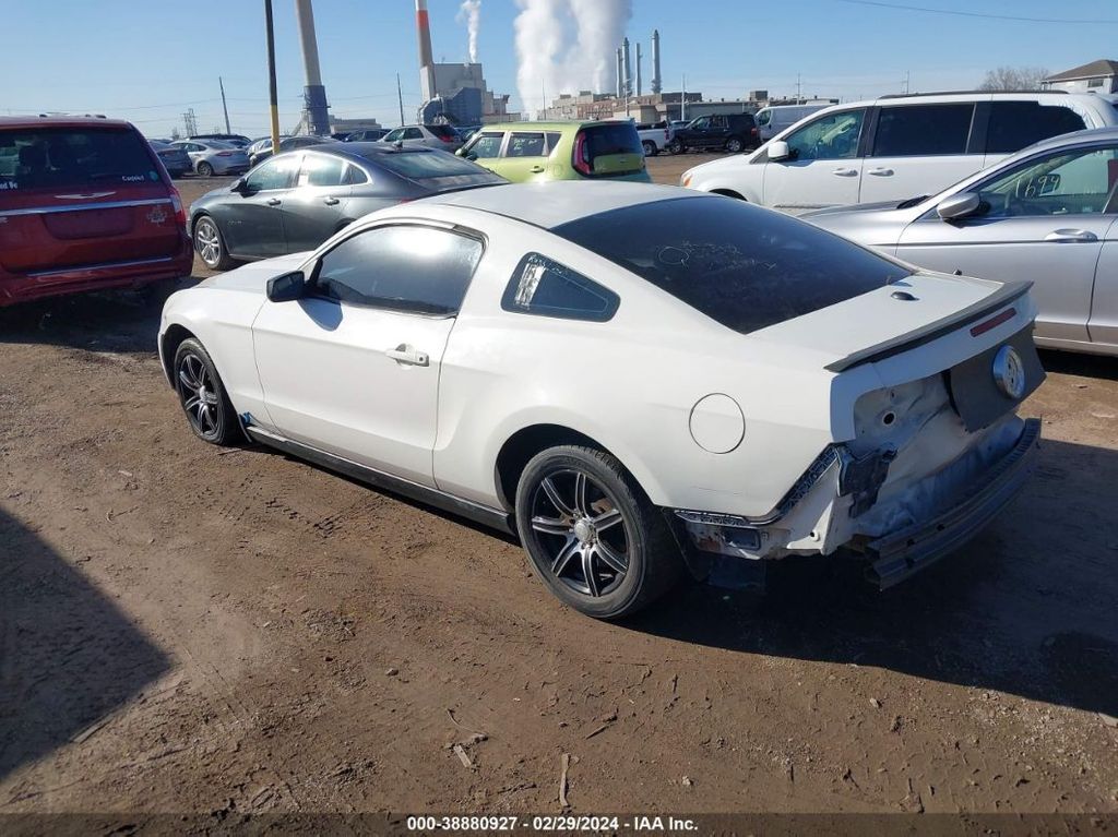 1ZVBP8AN6A5156218-2010-ford-mustang-2