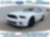 1ZVBP8FF9E5320052-2014-ford-mustang-0