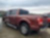 1FTEW1EP4GFD33602-2016-ford-f-150-1