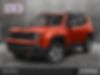 ZACNJDC17MPM98001-2021-jeep-renegade-0