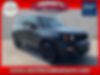ZACNJBBB2LPM06533-2020-jeep-renegade
