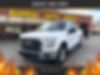 1FTEW1CP2GKF52875-2016-ford-f-150