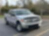 1FTFW1ET7DFB62387-2013-ford-f-150-0