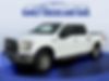 1FTEW1EP1GFA46606-2016-ford-f-150-0