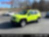ZACCJBBB8JPJ08105-2018-jeep-renegade