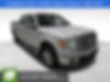 1FTFW1ET4DKG50395-2013-ford-f-150-0