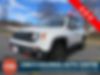 ZACNJBC17KPK08406-2019-jeep-renegade