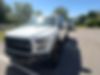 1FTFW1RG7HFC33252-2017-ford-f-150