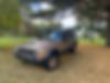 1J4FF68SXXL532411-1999-jeep-cherokee