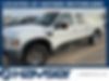 1FTSW21R39EB19175-2009-ford-f-250-0