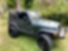 1J4FA49S73P313698-2003-jeep-wrangler-1