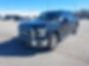 1FTEW1CP9GFB20311-2016-ford-f-150-0