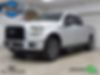 1FTEW1EP0GFA98647-2016-ford-f-150