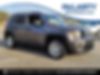 ZACNJAABXLPL14050-2020-jeep-renegade-0