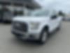 1FTEW1EP9FKE77684-2015-ford-f-150-0