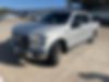 1FTEW1CP7GFB91393-2016-ford-f-150-0