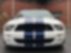 1ZVHT88S475264296-2007-ford-shelby-gt350-2